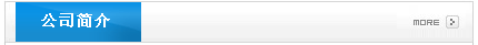 公司简介
